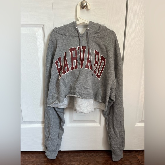 Colour: grey, Size: Women’s M, Style: cropped hooded sweater - Picture 3 of 4